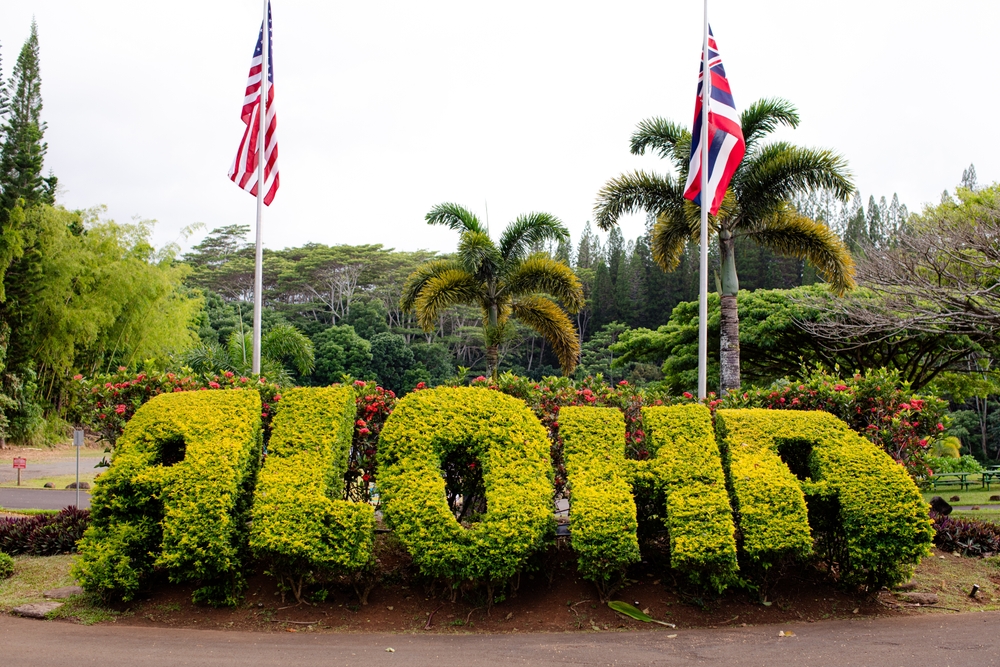 Aloha,Sign,Carved,In,Green,Bush,Or,Hedge,,With,American